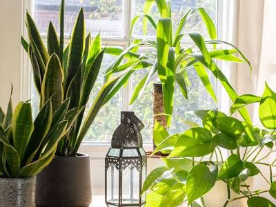  Langkah Ringan Menuju Kebahagiaan Diri